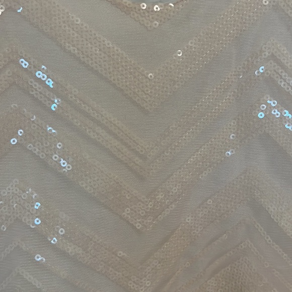 Banana Republic Heritage Sequin Sleeveless Tank, xs - Picture 4 of 8